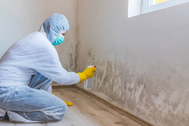 Hvac And Air Duct Mold Remediation inspection of HVAC system in Waddell